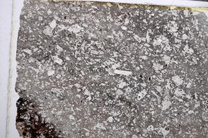 Plane Polarized, E61997/B