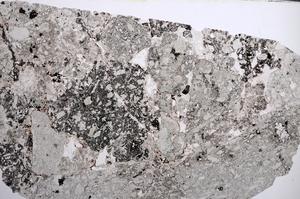 Plane Polarized, E61998/A