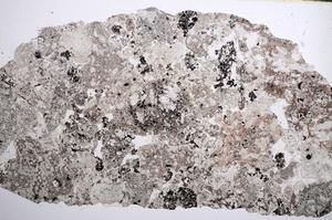 Plane Polarized, E61998/B