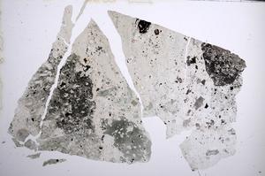Plane Polarized, E62010/A