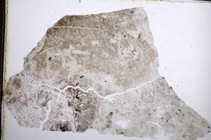 Plane Polarized, E62013/A