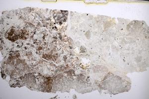 Plane Polarized, E62013/B