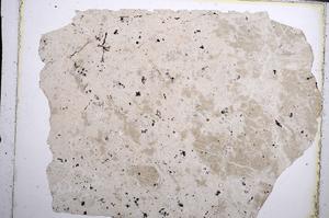 Plane Polarized, E62014/A