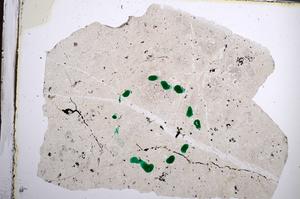 Plane Polarized, E62014/B