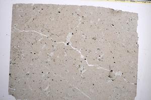 Plane Polarized, E62015/A