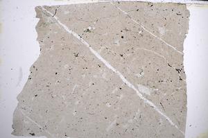 Plane Polarized, E62015/B