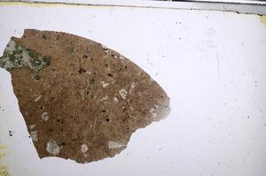 Plane Polarized, E62016