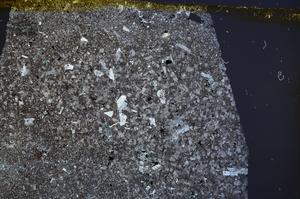 Cross Polarized, E62017