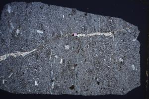 Cross Polarized, E62018/A