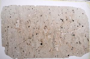 Plane Polarized, E62018/B