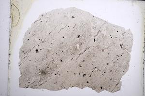 Plane Polarized, E62019/B