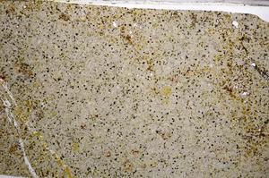 Plane Polarized, E62116