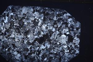 Cross Polarized, E62125