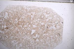 Plane Polarized, E62125