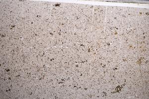 Plane Polarized, E62128