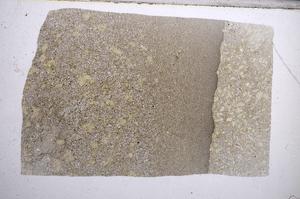 Plane Polarized, E62131