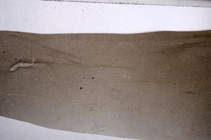 Plane Polarized, E62240
