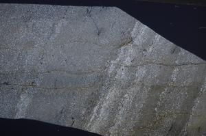 Cross Polarized, E62256