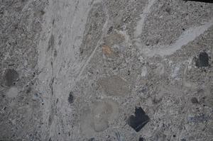 Cross Polarized, E62409