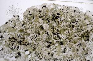 Plane Polarized, E62584