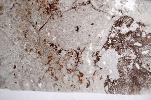 Plane Polarized, E62597