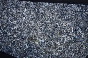 Cross Polarized, E62673