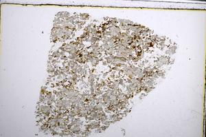 Plane Polarized, E62744/B