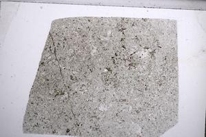 Plane Polarized, E62945