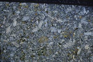 Cross Polarized, E63071