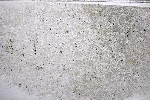 Plane Polarized, E63075