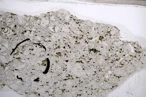 Plane Polarized, E63078