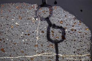 Cross Polarized, E65002