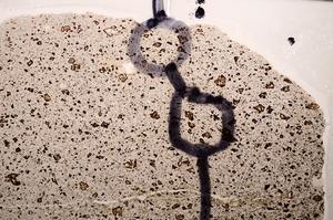 Plane Polarized, E65002