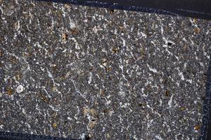 Cross Polarized, E65008