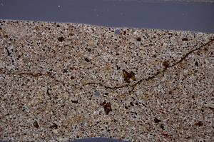 Cross Polarized, E65009