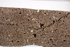 Plane Polarized, E65009