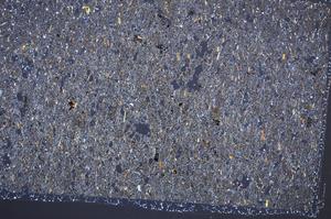 Cross Polarized, E65010