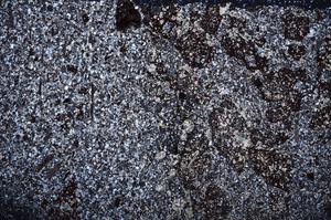 Cross Polarized, E65015