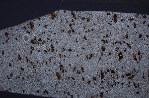 Cross Polarized, E65017