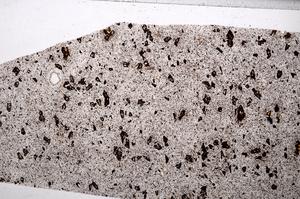 Plane Polarized, E65017