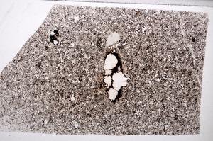 Plane Polarized, E65018