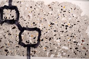 Plane Polarized, E65019