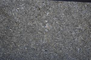 Cross Polarized, E65040