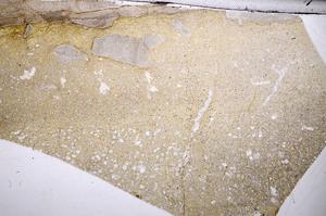 Plane Polarized, E65321