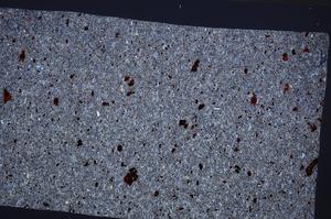 Cross Polarized, E65324