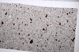 Plane Polarized, E65324