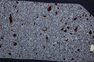 Cross Polarized, E65325