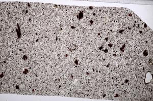 Plane Polarized, E65325