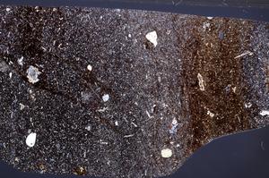 Cross Polarized, E65326