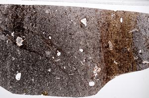 Plane Polarized, E65326